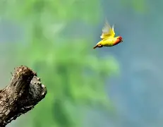 U7铻叒?陊滹?鹉*唚楾7緢祕n+?酢[8a.0駷S嗧?:Q~%a?趧?j2悺5Ol-LOL世界赛